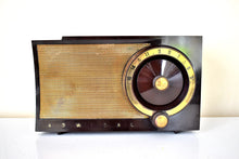 Load image into Gallery viewer, Mocha Brown and Gold 1956 Admiral 5T32 AM Vacuum Tube Radio Rare Model Rare Color Sounds Great!