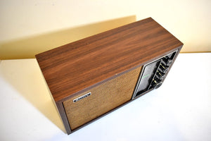 Sony Only! 1975-1977 Sony Model TFM-9440W AM/FM Solid State Transistor Radio Sounds Great!
