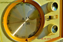 Load image into Gallery viewer, SOLD! - Nov 29, 2014 - AVOCADO and white AM/FM Retro Vintage 1960&#39;s Sears Model 2027 Solid State Radio WORKS! - [product_type} - Sears - Retro Radio Farm