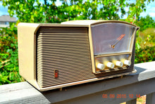 Load image into Gallery viewer, SOLD! - Sept 10, 2015 - LOFT GRAY Mid Century Retro Vintage 1964 Motorola Model B6N AM/FM Tube Radio Works Great! - [product_type} - Motorola - Retro Radio Farm