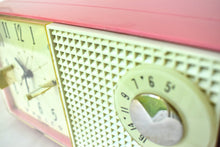 Charger l'image dans la galerie, Hot Pink 1959 Philco Model F743-124 AM Vacuum Tube Clock Radio Rare Color Sounds Great!