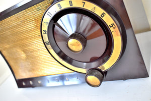 Mocha Brown and Gold 1956 Admiral 5T3 AM Vacuum Tube Radio Rare Model Rare Color Sounds Great!