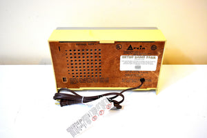 Imperial Gold 1966 Arvin Model 16R21 AM Solid State Transistor Radio Sounds Great!