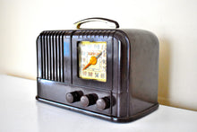 Load image into Gallery viewer, Marble Brown Bakelite 1948 Arvin Model 664 Vacuum Tube AM Radio Sounds Great! Excellent Condition!