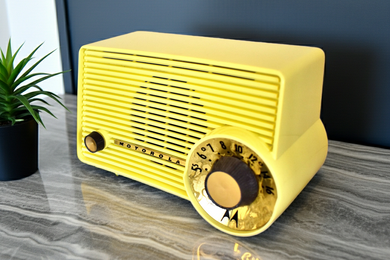 Over $500 – Retro Radio Farm