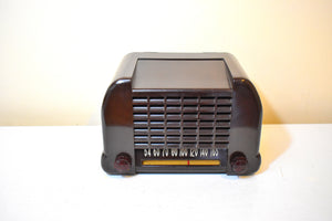 Gloss Brown Bakelite 1940s Unknown Model Vacuum Tube AM Radio Sounds Great! Excellent Plus Condition!