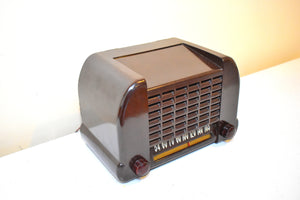 Gloss Brown Bakelite 1940s Unknown Model Vacuum Tube AM Radio Sounds Great! Excellent Plus Condition!
