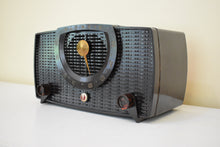 Load image into Gallery viewer, Umber Swirl Bakelite 1955 Olympic Model 544 Vacuum Tube AM Radio Excellent Condition Sounds Great!