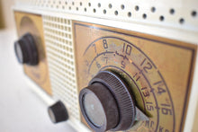 画像をギャラリービューアに読み込む, アラビカ ブラウン オウル アイズ 1951 ゼニス モデル G516 AM 真空管ラジオ 見た目も音も素晴らしい！