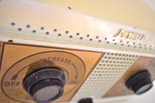 画像をギャラリービューアに読み込む, アラビカ ブラウン オウル アイズ 1951 ゼニス モデル G516 AM 真空管ラジオ 見た目も音も素晴らしい！