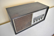 Load image into Gallery viewer, Bluetooth Ready To Go - 1978-79 Emerson Model 31-T56 AM/FM Solid State Transistor Radio Sounds Great! Comes With A Story!