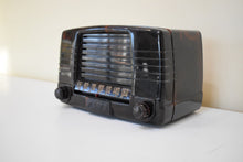 Load image into Gallery viewer, Marbly Brown Mocha Swirl 1949 FADA Model 855 Coloradio AM Vacuum Tube Radio Sounds Great!