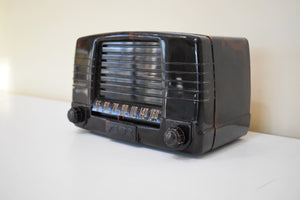 Marbly Brown Mocha Swirl 1949 FADA Model 855 Coloradio AM Vacuum Tube Radio Sounds Great!