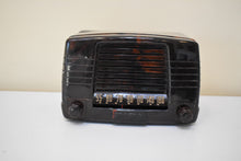 Load image into Gallery viewer, Marbly Brown Mocha Swirl 1949 FADA Model 855 Coloradio AM Vacuum Tube Radio Sounds Great!