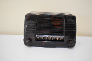 Marbly Brown Mocha Swirl 1949 FADA Model 855 Coloradio AM Vacuum Tube Radio Sounds Great!