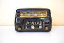 Load image into Gallery viewer, Marble Brown 1946 General Electric Model 202 Vacuum Tube AM Radio Excellent Condition Great Sounding!