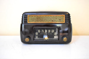 Marble Brown 1946 General Electric Model 202 Vacuum Tube AM Radio Excellent Condition Great Sounding!