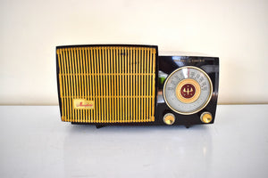 Burgundy Marble Swirly 1955 General Electric Model 475 AM Vacuum Tube Radio Real Charmer! Excellent Condition!