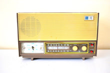 Charger l&#39;image dans la galerie, Mocha Tan Brown General Electric Model C530A AM/FM Vacuum Tube Radio Sounds Great! Excellent Condition!