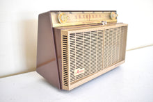 画像をギャラリービューアに読み込む, Sahara Tan 1958 General Electric Model T-116A Vacuum Tube AM Clock Radio Dual Speaker Excellent Condition!