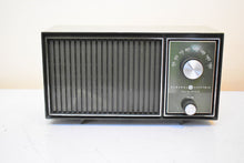 Load image into Gallery viewer, Bluetooth Ready To Go - Pea Green 1968 General Electric Model Unknown Solid State Transistor Radio! Excellent Condition and Sounding!