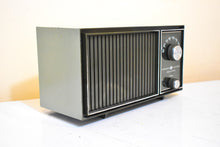 Load image into Gallery viewer, Bluetooth Ready To Go - Pea Green 1968 General Electric Model Unknown Solid State Transistor Radio! Excellent Condition and Sounding!