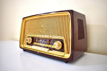 Load image into Gallery viewer, West Germany Mid Century Vintage 1957 Grundig Model 97 AM FM Shortwave Vacuum Tube Radio Ist Wundebar!