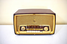 Load image into Gallery viewer, West Germany Mid Century Vintage 1957 Grundig Model 97 AM FM Shortwave Vacuum Tube Radio Ist Wundebar!