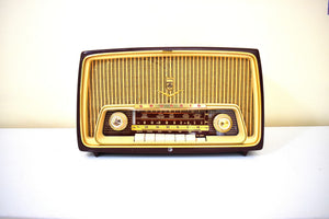 West Germany Mid Century Vintage 1957 Grundig Model 97 AM FM Shortwave Vacuum Tube Radio Ist Wundebar!