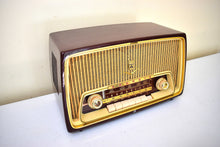 Load image into Gallery viewer, West Germany Mid Century Vintage 1957 Grundig Model 97 AM FM Shortwave Vacuum Tube Radio Ist Wundebar!