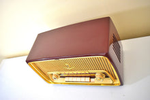 Load image into Gallery viewer, West Germany Mid Century Vintage 1957 Grundig Model 97 AM FM Shortwave Vacuum Tube Radio Ist Wundebar!