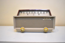 Load image into Gallery viewer, Taupe and Tan 1954 Hallicrafters Model 611 AM Vacuum Tube Radio Sounds Great! Rare Model!
