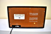 Load image into Gallery viewer, 1975-1977 Sony Model ICF-9550W AM/FM Solid State Transistor Radio Sounds Great!