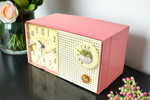Charger l'image dans la galerie, Hot Pink 1959 Philco Model F743-124 AM Vacuum Tube Clock Radio Rare Color Sounds Great!