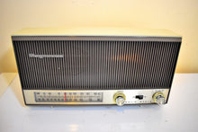 画像をギャラリービューアに読み込む, Bluetooth 準備完了 - ナツメグ ブラウン 1962 Magnavox モデル 1FM062 ソリッド ステート AM/FM ラジオ 素晴らしい状態です。いいね！