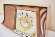 Charger l&#39;image dans la galerie, Sahara Tan Mid Century Vintage 1962 Motorola A10N 62 Vacuum Tube AM Radio Cool Model!