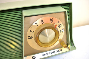 Avocado Green 1961 Motorola Model A17G AM Vintage Radio Sounds Terrific! Excellent Shape!