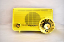 画像をギャラリービューアに読み込む, フィエスタレッド 1957 モトローラモデル 5T22R "ドラッグスター" AM 真空管ラジオ 素晴らしいサウンド!非常に希少な望ましいモデル！ミントコンディション！