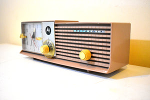 Sahara Taupe 1959 Motorola Model 5T27N-1 Vacuum Tube AM Radio Clean and Gorgeous Looking and Sounding!