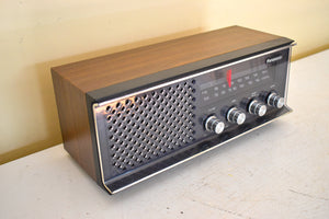 Bluetooth Ready To Go - 1970s Panasonic Model RE-6513 AM/FM Solid State Transistor Radio Sounds Fantastic Original Box!