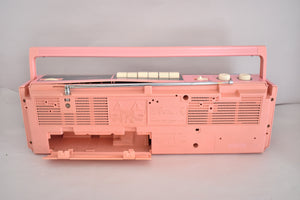 Madonna Pink 80s Panasonic Model RTX-FM15 AM FM Cassette Mini