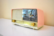 Charger l&#39;image dans la galerie, Powder Pink 1956 RCA Victor Model 8-C-7FE Vacuum Tube AM Clock Radio Excellent Condition Sounds Great!