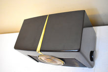 Charger l'image dans la galerie, Umber Brown Bakelite 1949 RCA Victor Model 8-X-541 Vacuum Tube AM Radio Sounds Great Popular Bakelite!