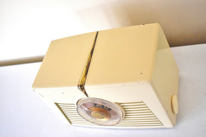 Bluetooth Ready To Go - Antigua Ivory 1949 RCA Victor Model 8X542 Vacuum Tube AM Radio Sounds Great! Simple Classy Design!