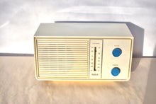 Load image into Gallery viewer, Bluetooth Ready To Go - Snow White RCA Model RZA-1206A AM Solid State Transistor Radio!