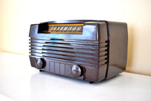Load image into Gallery viewer, Arabica Brown Bakelite 1946 Radiola Model 61-8 Vacuum Tube AM Radio! Sounds Great! Excellent Condition!