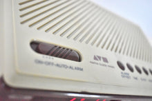 Load image into Gallery viewer, Taupe Lavender 1980s Sears Catalog Model 23155 AM FM Digital Alarm Clock Radio! Excellent Condition!