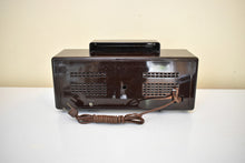 Load image into Gallery viewer, Chocolate Brown 1959 Silvertone Model 9007 Vacuum Tube AM Clock Radio Sounds Terrific! Excellent Condition!