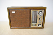 Load image into Gallery viewer, 1970s Sony Model ICF-9650W AM/FM Solid State Transistor Radio Sounds Great! Excellent Condition!