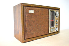 Load image into Gallery viewer, 1970s Sony Model ICF-9650W AM/FM Solid State Transistor Radio Sounds Great! Excellent Condition!